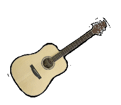 akustikgitarre1
